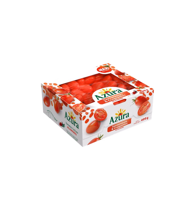Azura Baby plum tomatoes- Angelle variety