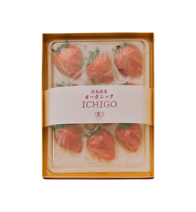AñayのICHIGO