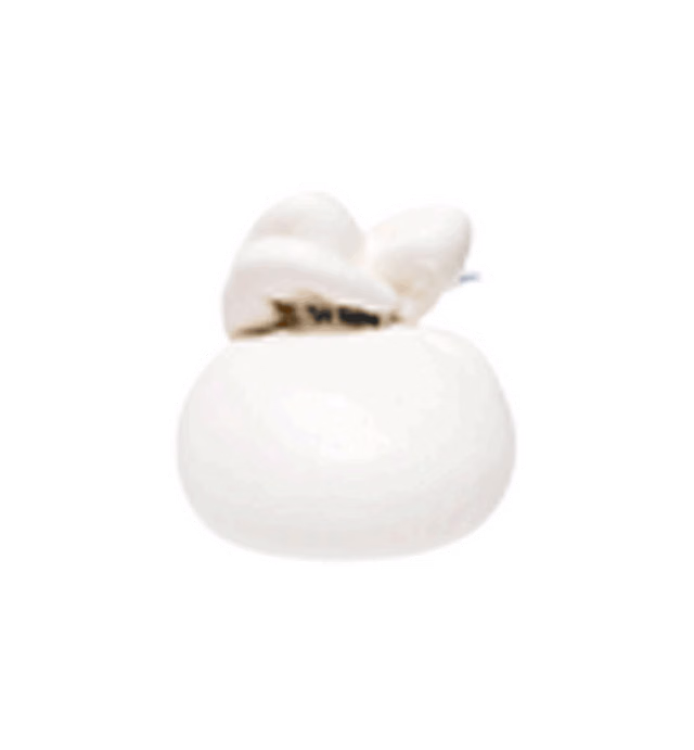 Burrata