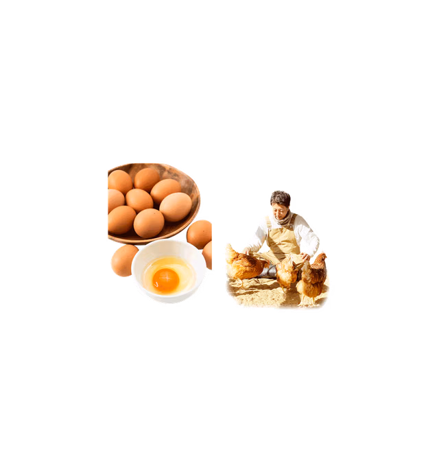 日本一こだわり卵