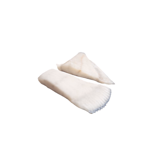 PREMIUM FROZEN TURBOT FILLETS