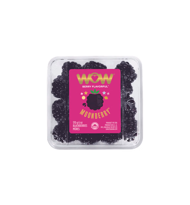 SUNSET® WOW® Moonberry™ Blackberries
