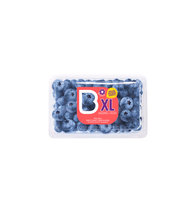 SUNSET® XL Blueberries™