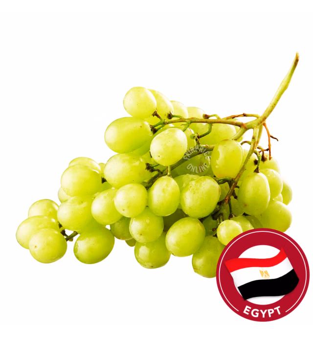 Harvest Fields Seedless Egypt Grapes - Green