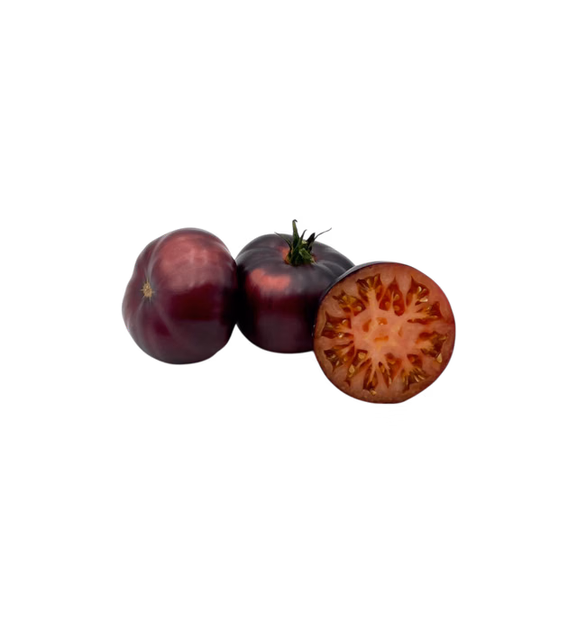 PÚRPURA