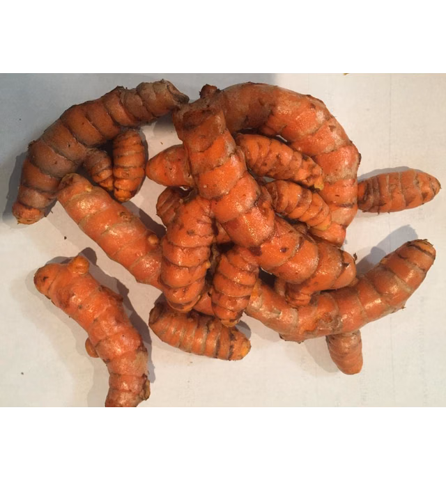 Fresh Organic Turmeric Root - 2 Lb Whole Raw Root by Fijian Spice Company