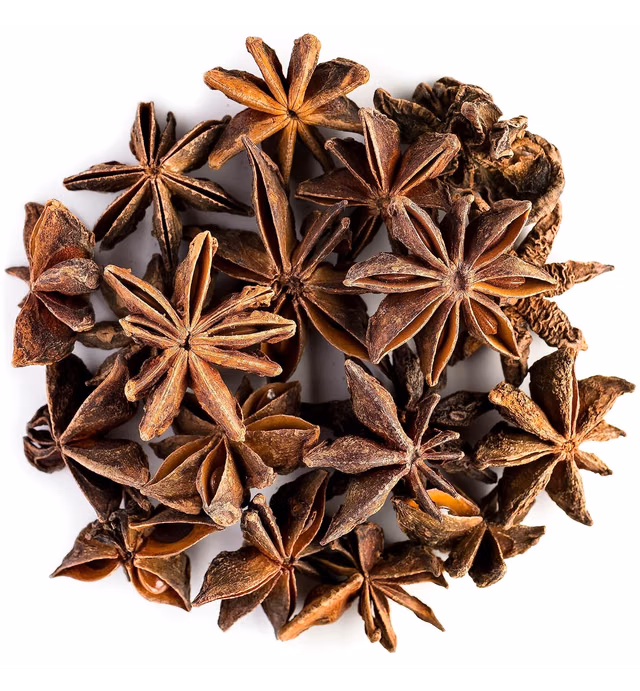 Anise Star Seed Organic Tea - Staranise or Illicium Verum - Star Anis Tea Star Anise Tea Star Anice Staranise Tea Anise Anis Star Anise Seed Tea Star Tea Star Annise Star Seed 100g
