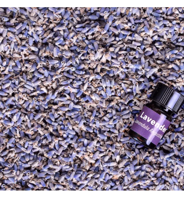 bMAKER Dried Lavender Flowers 4 oz - Edible and Kosher Certified - Cooking, Tea, Wedding and Crafting - Organic Lavender Buds, Organic Dried Lavender Buds, Organic Lavender Flowers Dried