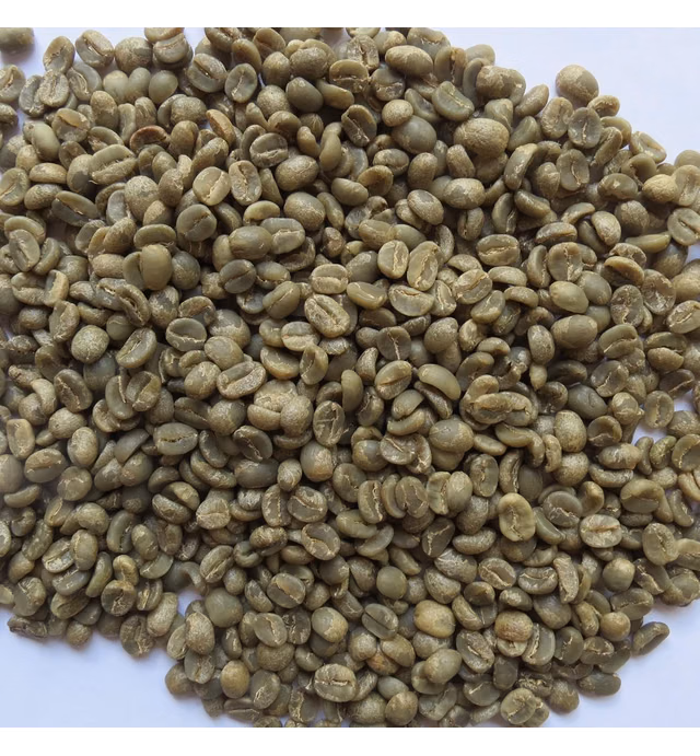 10 Lb, Single Origin Unroasted Green Coffee Beans, Specialty Grade From Single Nicaraguan Estate, Direct Trade (Caturra Varietal)