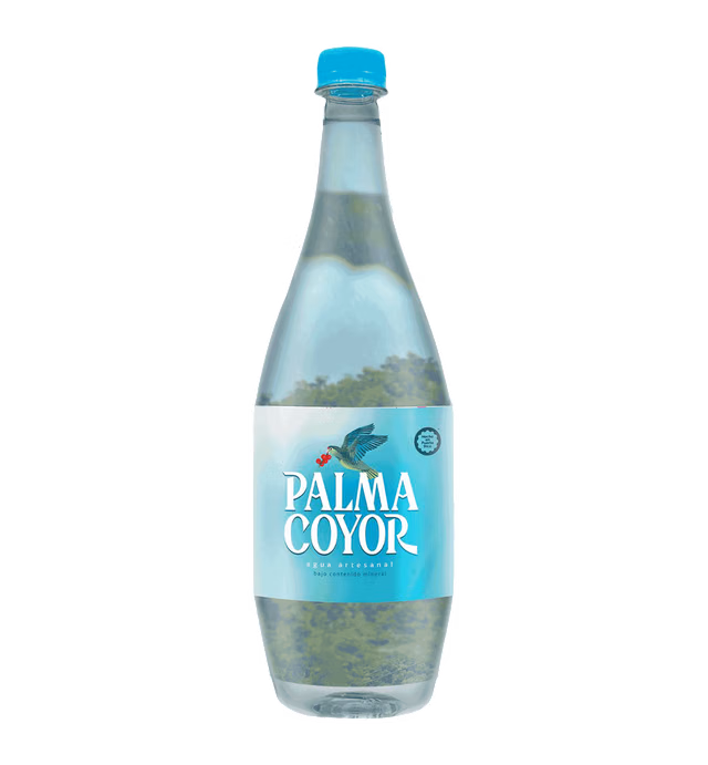Palma Coyor