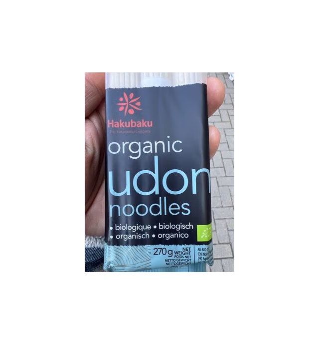 organic udon
