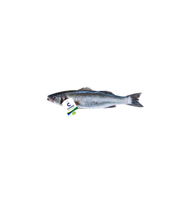 Organic Sea bass