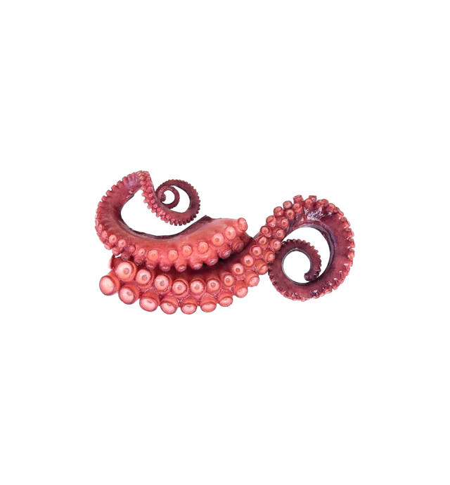 PATA DE PULPO