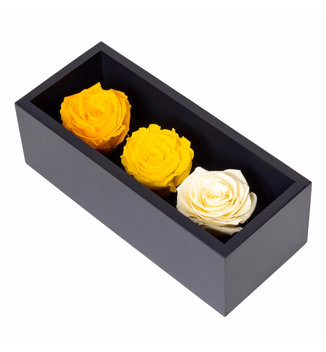 Khiva Birthday Gift | Anniversary Preserved Roses in a Box | Fresh Flowers for Delivery Prime Birthday | Gifts for Women | Real Flowers | Gift for Mom | Girlfriend Flower Arrangements (Yellow Roses)