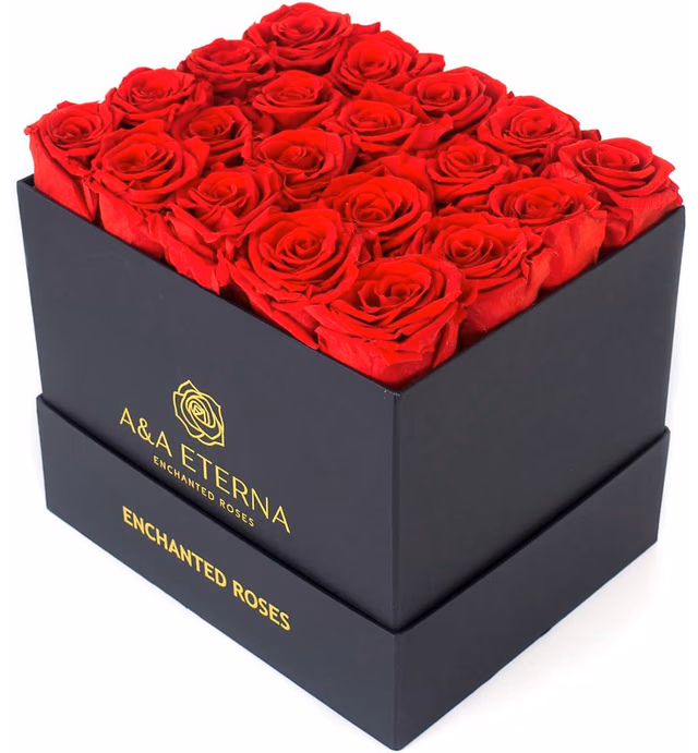 A&A ETERNA - ENCHANTED ROSES 20 Red Roses Preserved in a Black Retangular Box - 100% Real Rose for Her - Extra Large Red Roses Elegantly Arranged in a Chic Box