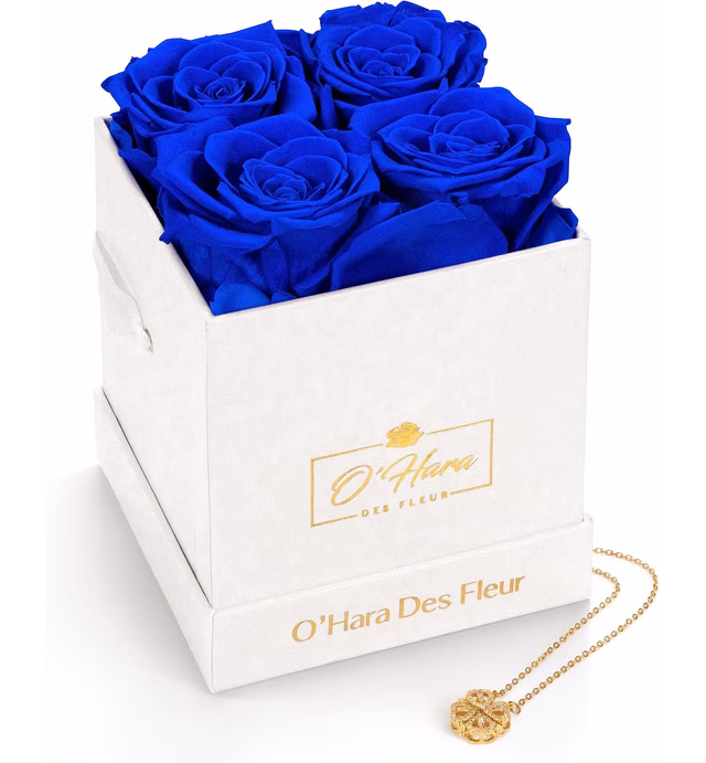 O'hara Des Fleur| Flowers Delivery Prime | Rose Box | Gift for Anniversary & Birthday | Fresh Roses That Last a Year | Includes Gift Necklace (Blue)
