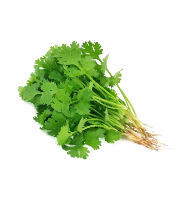 Agro Fresh Indian Fresh coriander leaves