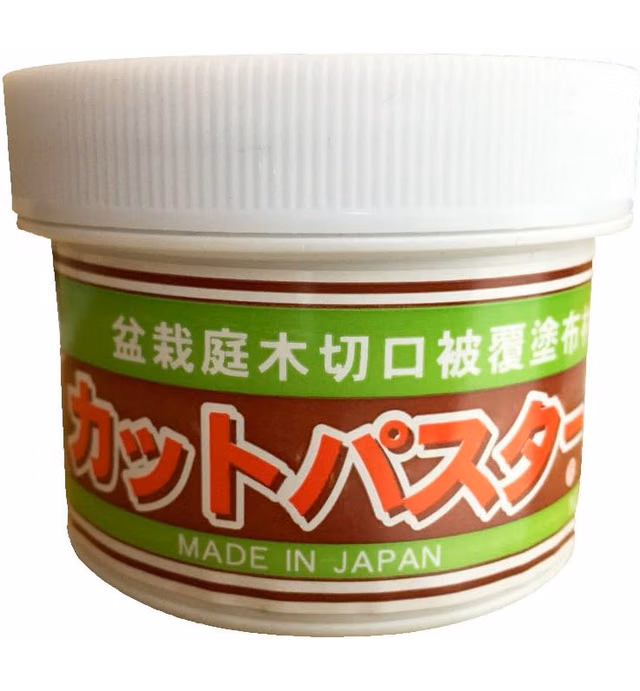 CUTPASTER Bonsai Cut Paste Tool 190g (Gray)