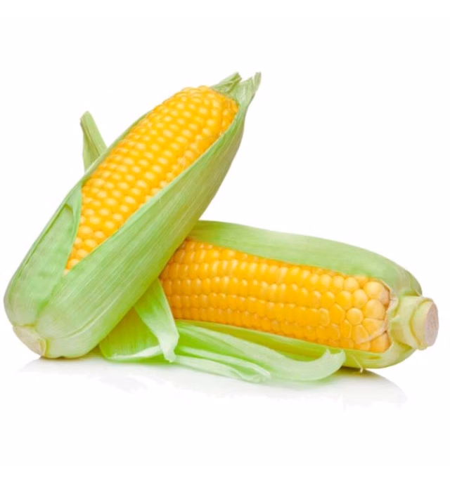 Agro Fresh Yellow Sweet Corn