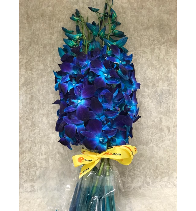Blue Dyed Dendrobium Orchids-FREE RIBBON-Eflowerwhosale