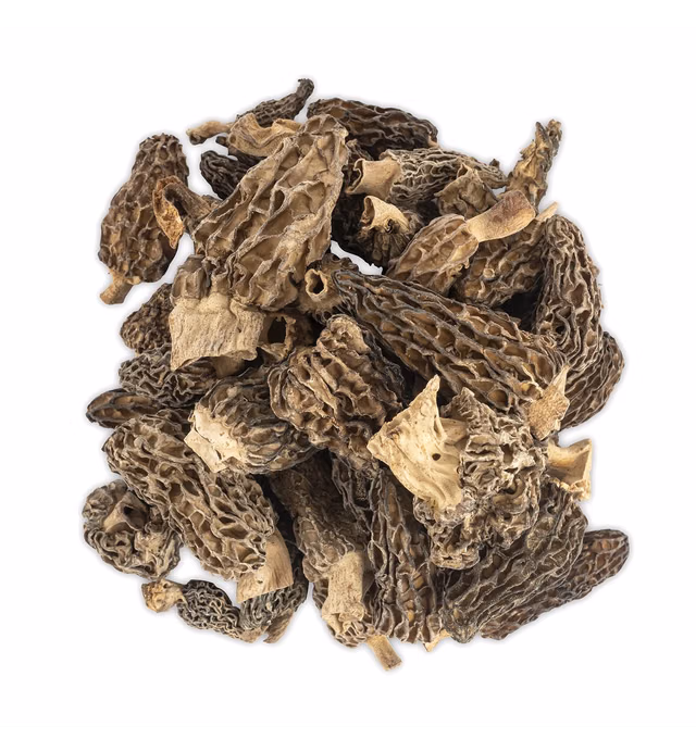 Slofoodgroup Dried Morel Mushrooms (Morchella Conica) Gourmet Morel Mushrooms (.25 lb/ 4 oz Morel Mushrooms)