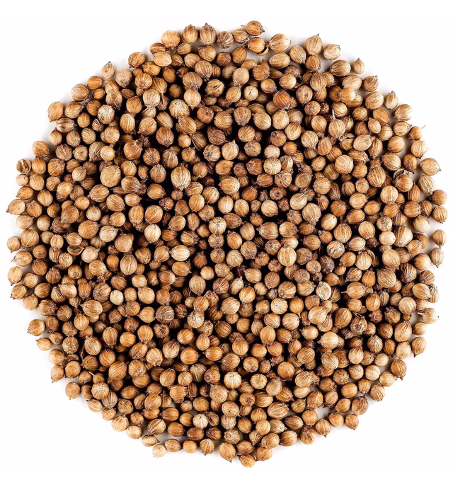 Coriander Seed Organic Gourmet Quality - Cilantro Seeds For Elevating Dishes - Organic Cilantro Corriander Corrriander Corrinder Corriandar Corrander Corrinader Corriandor Corrinander Corriender