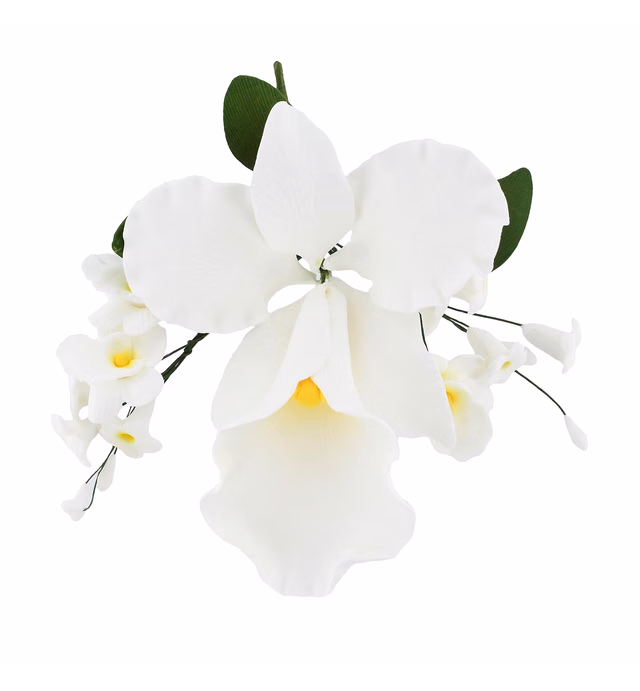 Global Sugar Art Cattleya Orchid Sugar Cake Flowers Arched Spray, White, 1 Count by Chef Alan Tetreault
