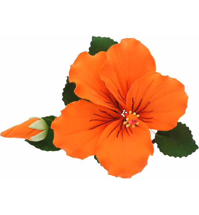 Global Sugar Art Hibiscus Sugar Cake Flowers Spray, Orange, 1 Count by Chef Alan Tetreault