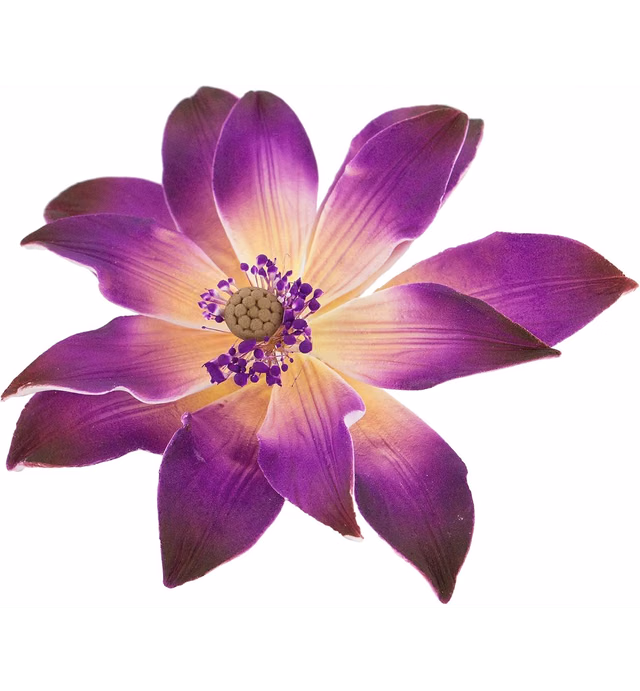 Global Sugar Art Tranquil Water Sugar Cake Flowers, Purple 3 Count by Chef Alan Tetreault