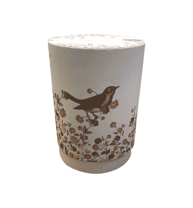 Ajassa Cartoon Jar