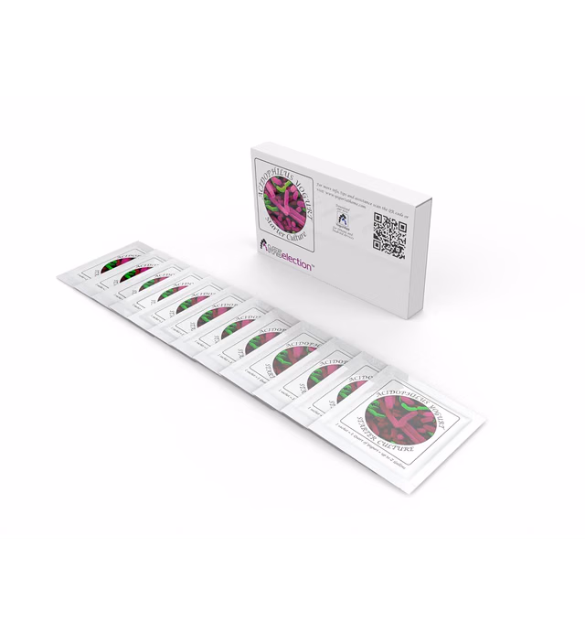 Yogurt Starter Cultures - Pack of 12 Freeze-dried Culture Sachets for Acidophilus Yogurt (12)