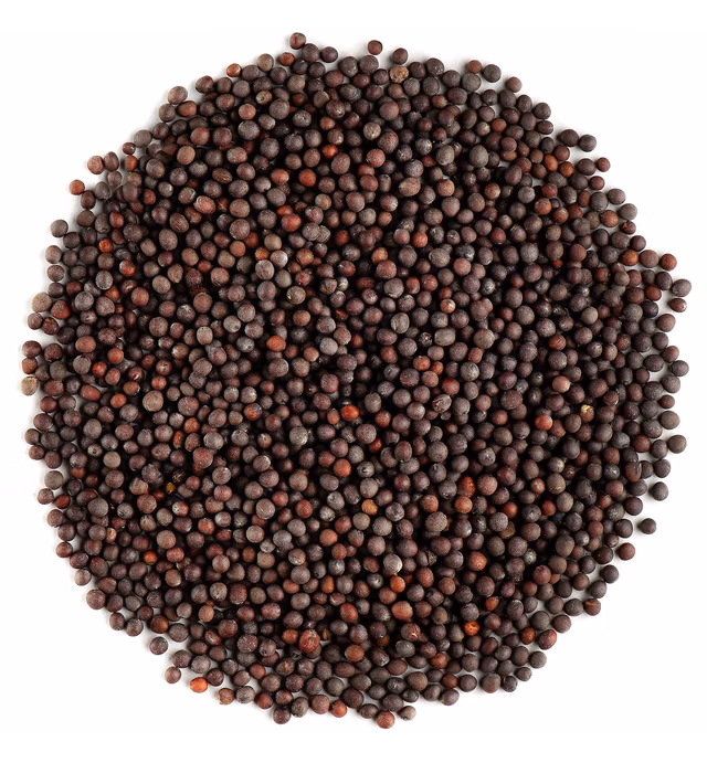 Black Mustard Seeds Whole Organic - Brown Mustard Seed Spicy Ingriedient - Dark Mastard Seed - Black Mustard Seeds For Cooking Seeds Mustard Seed Mustard Musturd Musterd Seed Whole Mustard Seeds