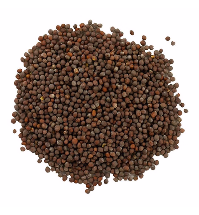 Buy Wellness MUSTARD SEEDS, Brown, USDA Certified Organic Brown Mustard Seeds 1 LB