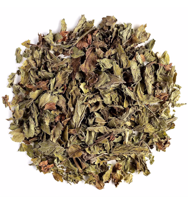 Spearmint Organic Leaf Herbal Tea - Mentha Spicata - Morrocan Nana Mint Spearmint Tea Leaves Spearmint Dried Herb Spearmint Herb Dried Spearmint Leaves Tea Spearmint Herbs Spearmint Leaf