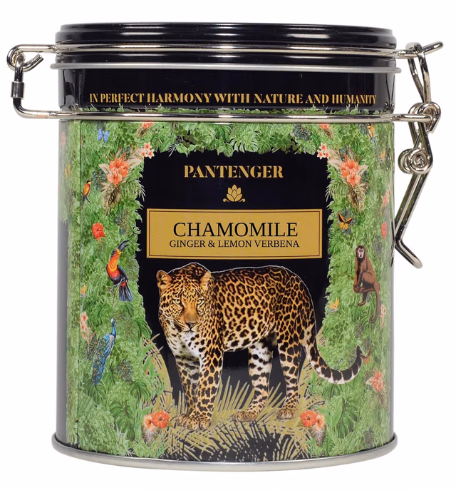 Organic German Chamomile & Ginger Herbal Tea | 20 Pyramid Bags | Calming and Digestive Caffeine Free Herbal Tea | By Pantenger