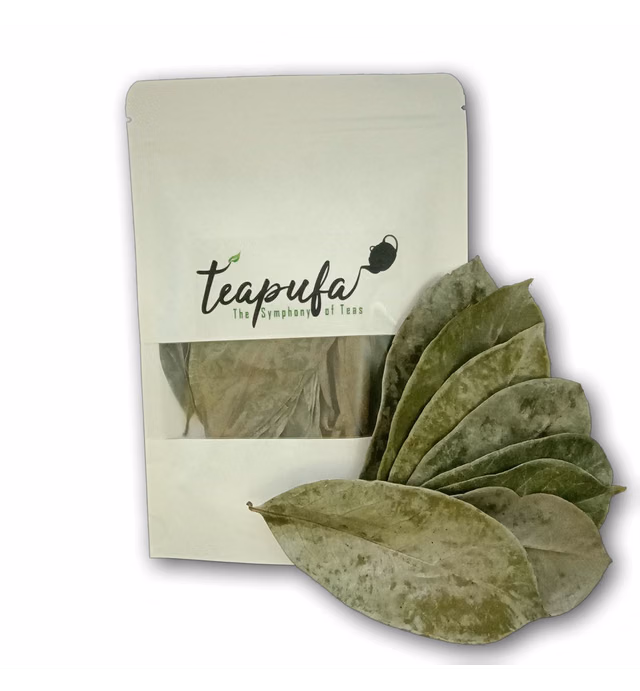 PUFA Soursop Graviola Leaves 0.90oz (25g.) Herbal & Organic Whole Dry Leaves for Making Tea, Support All Natural Immune System Pure Graviola - Whole Soursop Leaves For Tea | Health Improvement| (60 leaves)