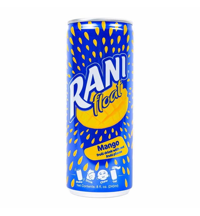 Rani Float Mango Fruit Juice Drink, 100% Fruit Juice Content with Real Mango Chunks, Imported from Dubai, No Added Sugar, No Artificial Colors, 8oz (Pack of 24)