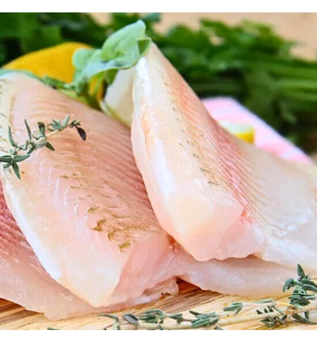 Frozen Dory Sutchi Fillet (IQF)